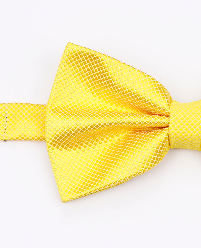 Noeud Papillon Jaune Homme en Polyester | Martin - Unipap's