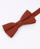 Noeuds Papillon Homme