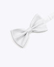 Noeud Papillon à Paillette Argent n°1 Homme en Polyester | Isidore - Unipap's