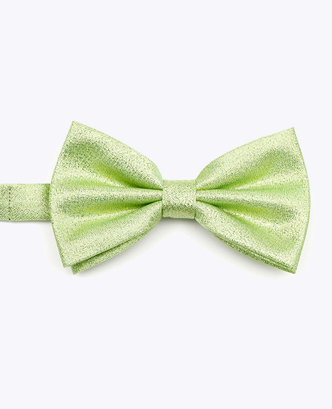 Noeud Papillon à Paillette Vert n°2 Homme en Polyester | Isidore - Unipap's