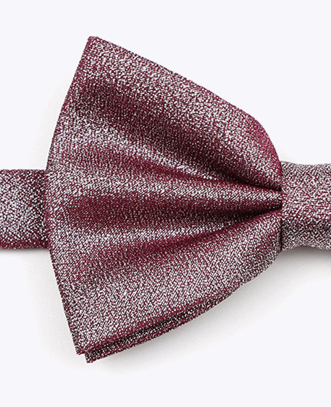 Noeud Papillon à Paillette Violet n°3 Homme en Polyester | Isidore - Unipap's