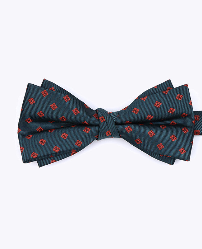 Noeud Papillon Vert à Motifs Homme en Polyester «Edmond»