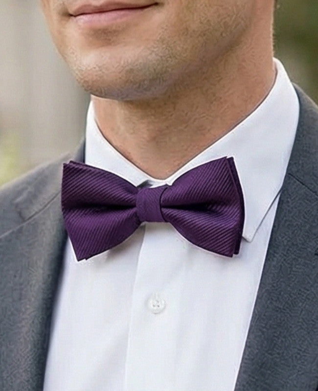 Noeud Papillon Violet n°2 Homme en Polyester «Lucien»